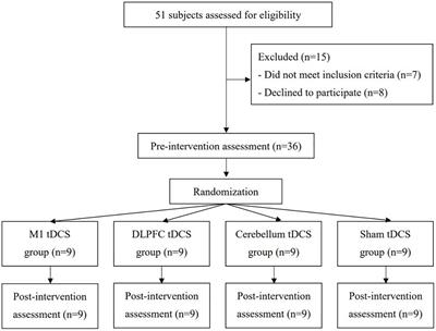 Transcranial Direct Current Stimulation on Different Targets to Modulate Cortical Activity and Dual-Task Walking in Individuals With Parkinson’s Disease: A Double Blinded Randomized Controlled Trial